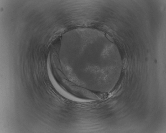 X0000077351202200611031812