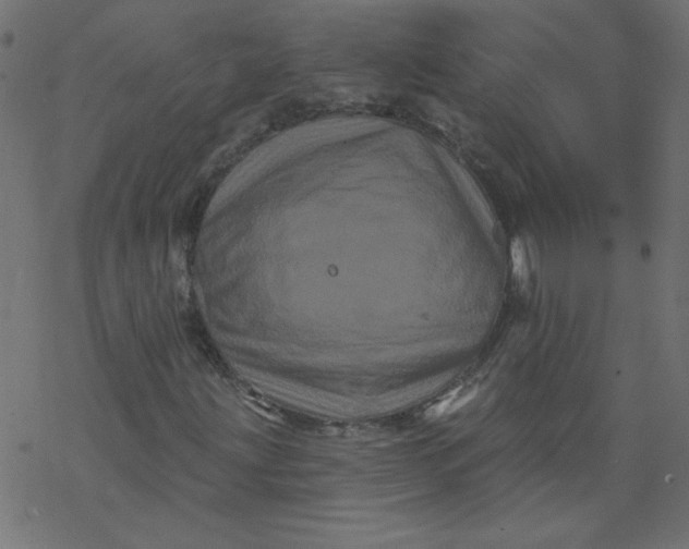 X0000077351203200611031812