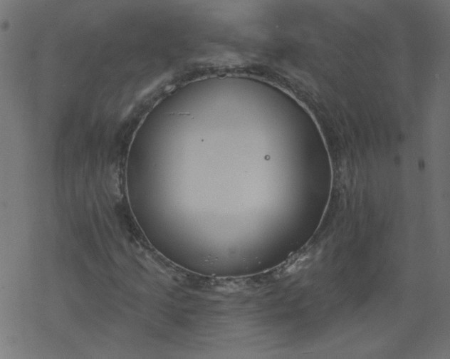 X0000077351205200611031812