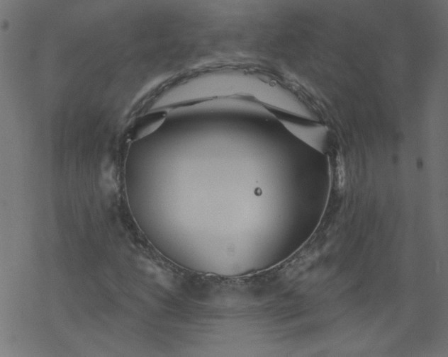 X0000077351206200611031812