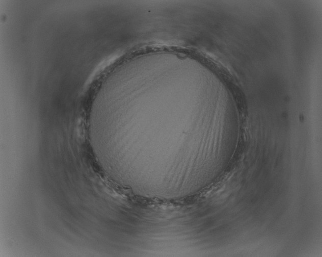 X0000077351207200611031812