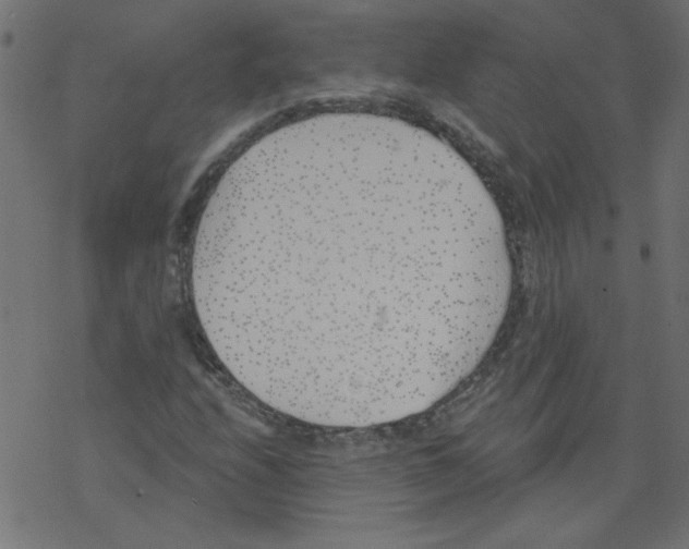 X0000077351208200611031812