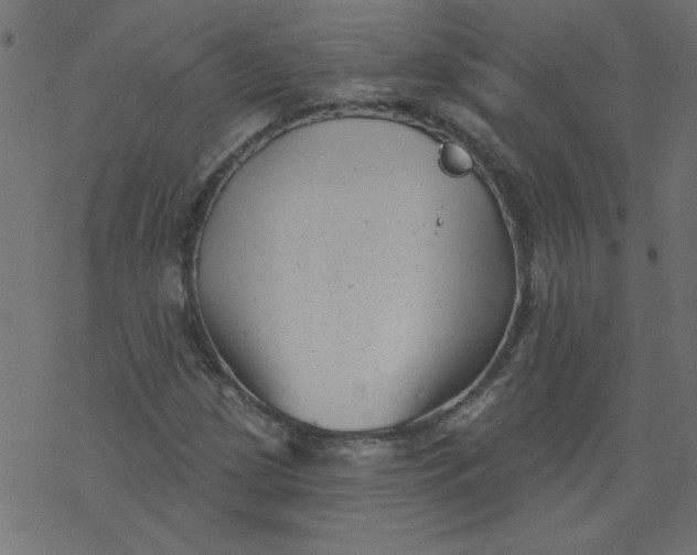 X0000077351209200611031812