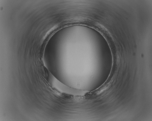 X0000077351210200611031812