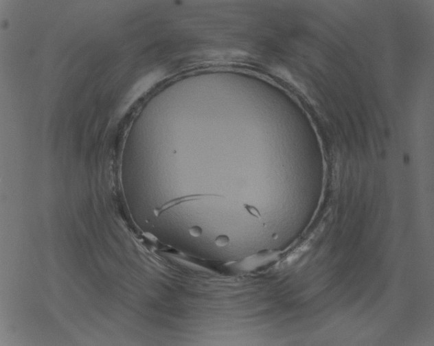 X0000077351211200611031812