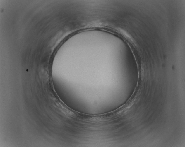 X0000077351212200611031812