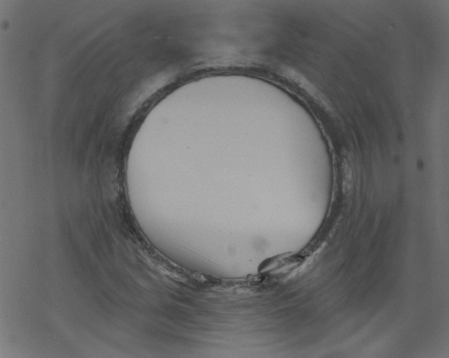 X0000077351213200611031812