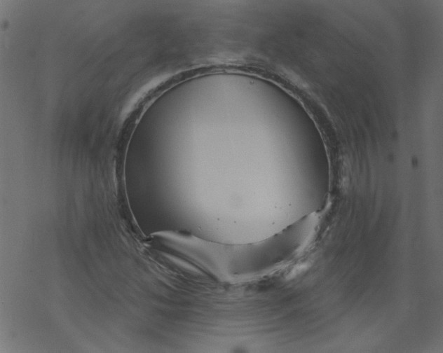 X0000077351214200611031812