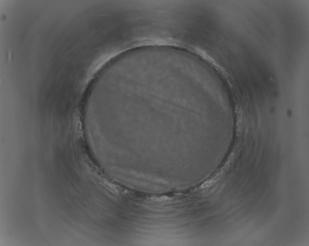 X0000077351215200611031813