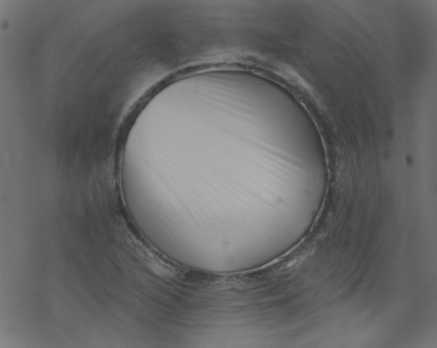 X0000077351216200611031813