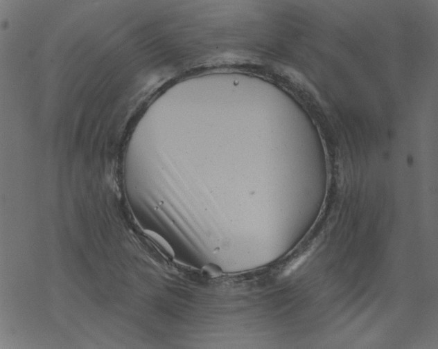 X0000077351217200611031813