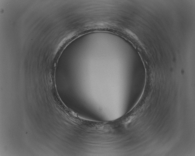 X0000077351218200611031813