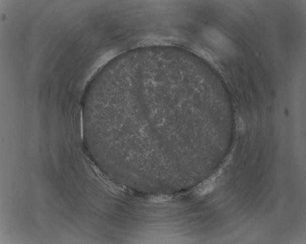 X0000077351219200611031813