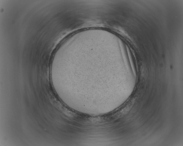 X0000077351220200611031813