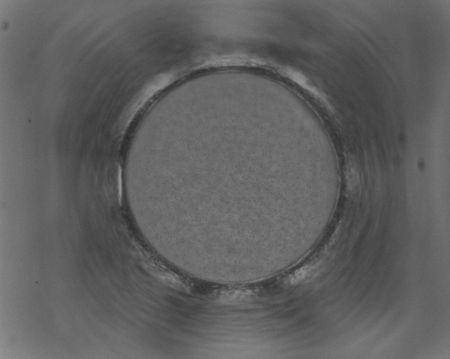 X0000077351221200611031813