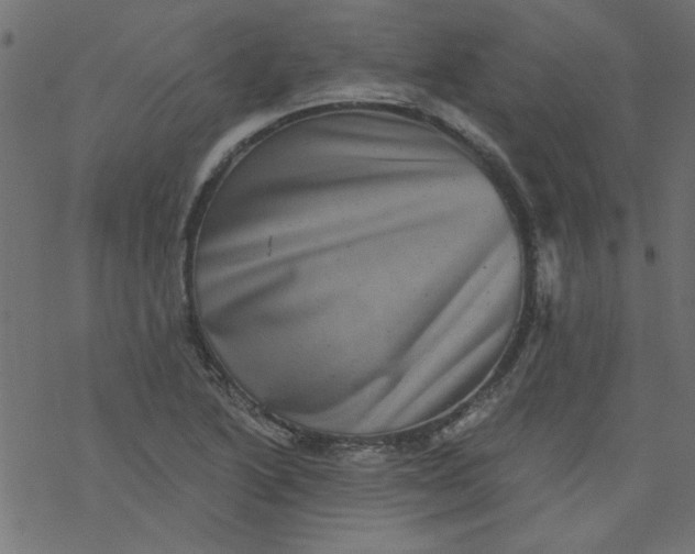 X0000077351222200611031813