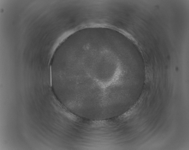 X0000077351223200611031813