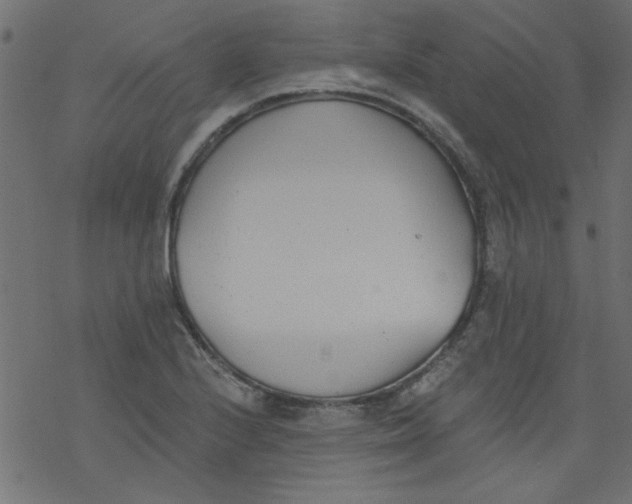 X0000077351224200611031813