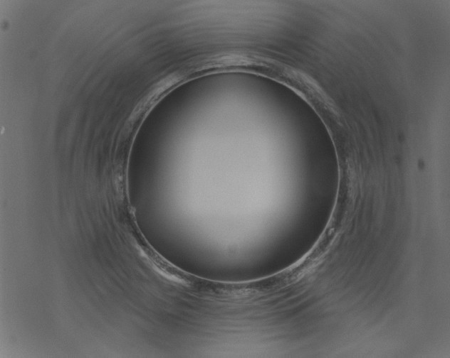 X0000077351225200611031813