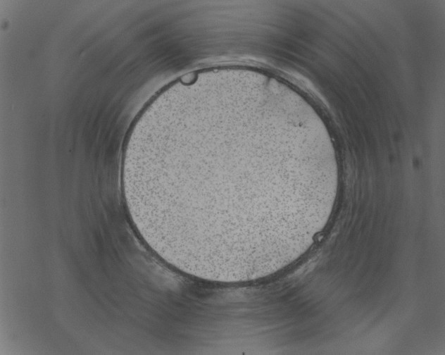 X0000077351228200611031813