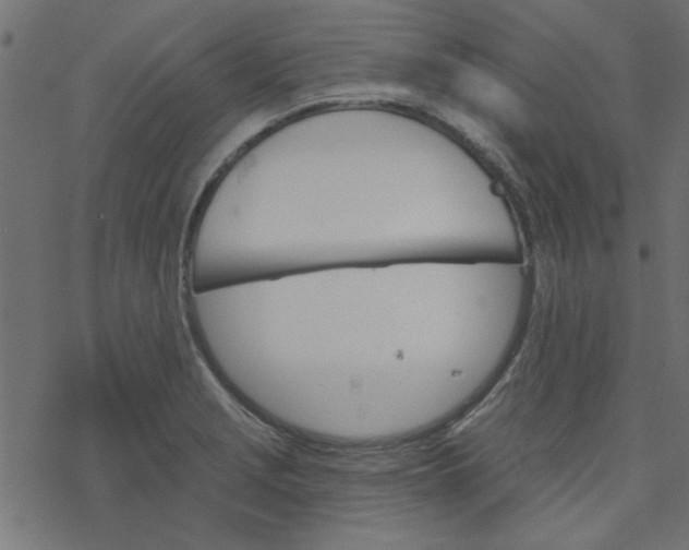 X0000077351229200611031813