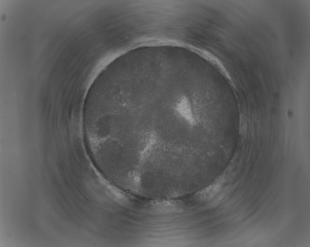 X0000077351231200611031813