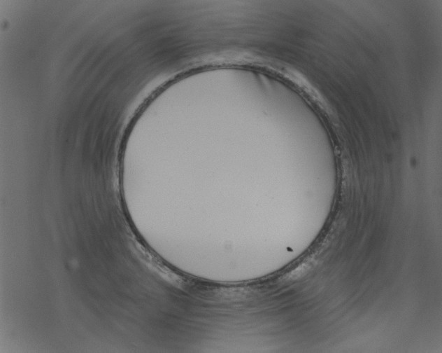 X0000077351232200611031813