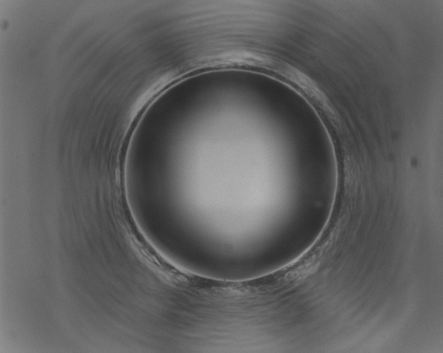 X0000077351234200611031813