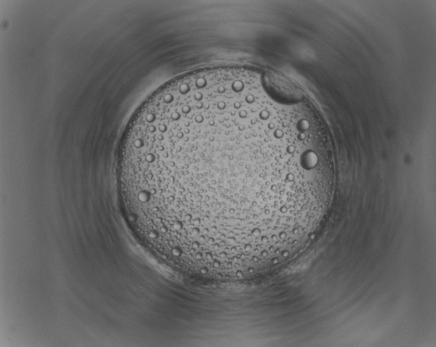 X0000077351235200611031813