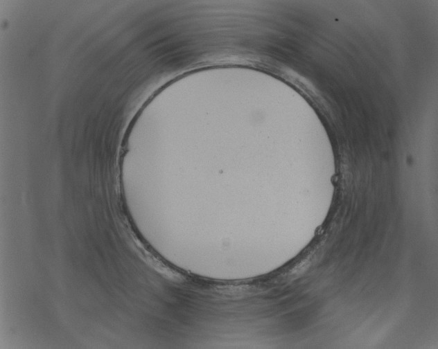 X0000077351236200611031813