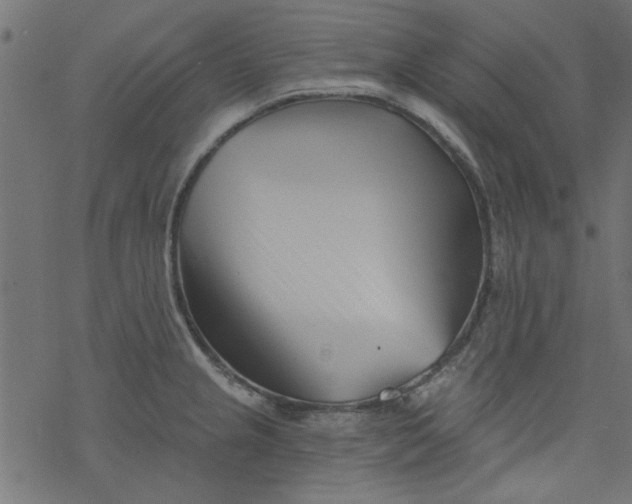 X0000077351237200611031813