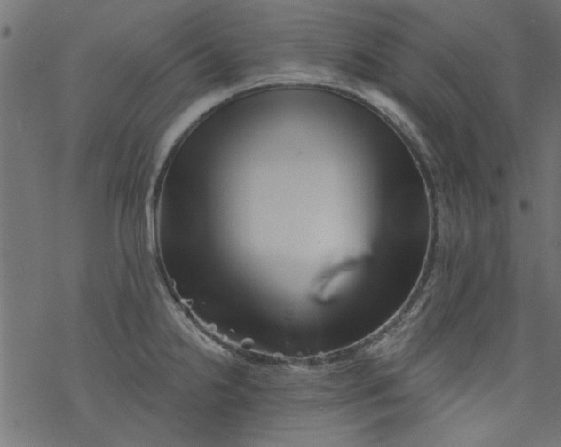 X0000077351238200611031813