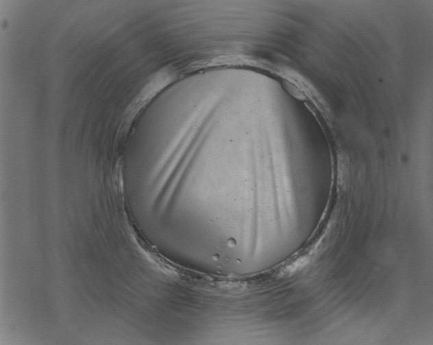 X0000077351241200611031813