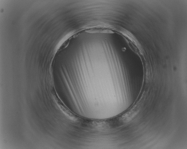 X0000077351242200611031813