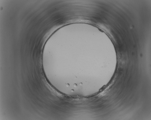 X0000077351244200611031813