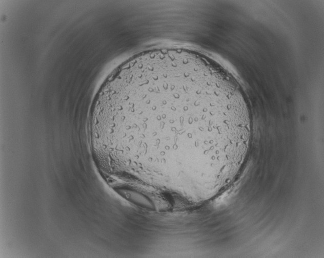 X0000077351247200611031813