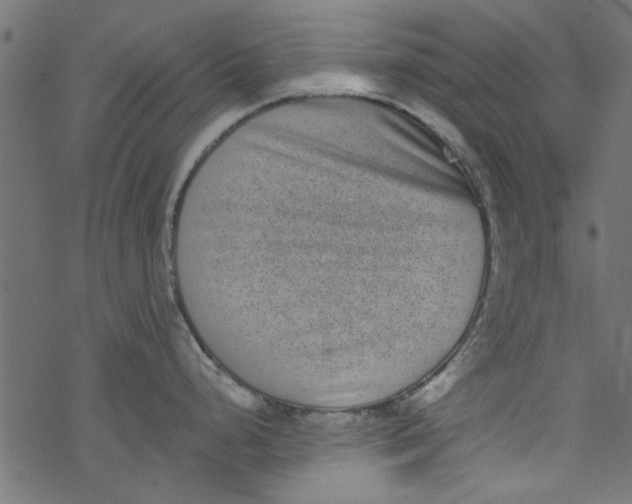 X0000077351248200611031813