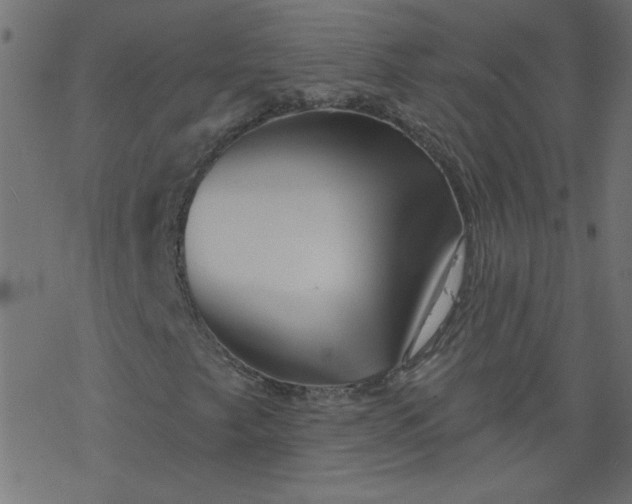 X0000077351249200611031812