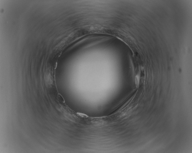 X0000077351250200611031812