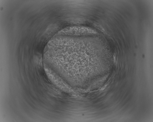 X0000077351251200611031812