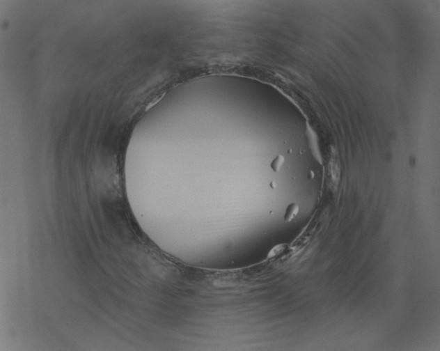 X0000077351252200611031812