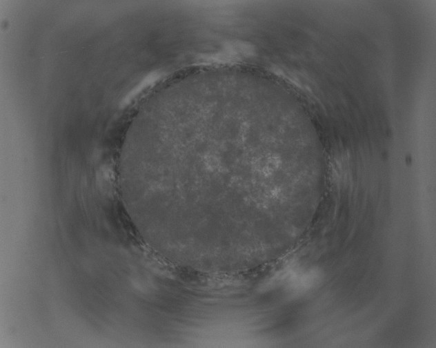 X0000077351254200611031812