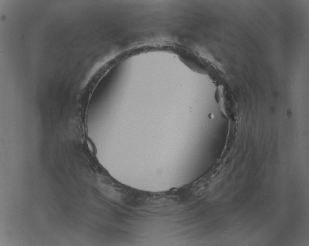 X0000077351256200611031812