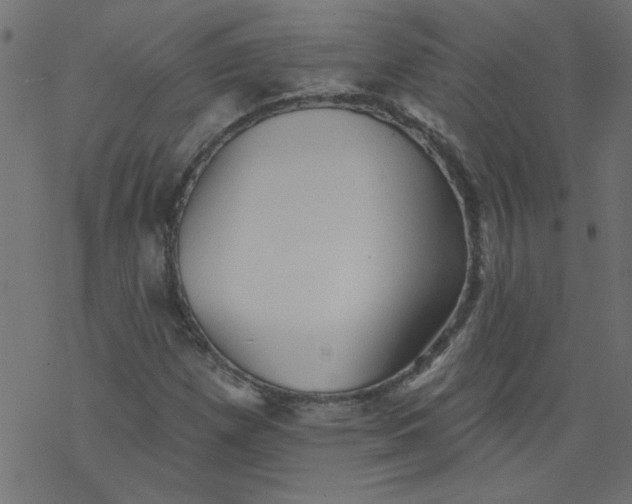 X0000077351257200611031812