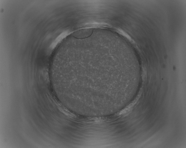 X0000077351259200611031812