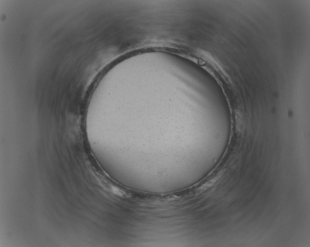 X0000077351260200611031812