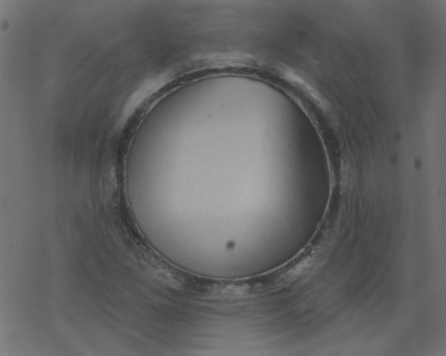 X0000077351261200611031812