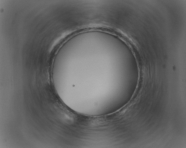 X0000077351262200611031812