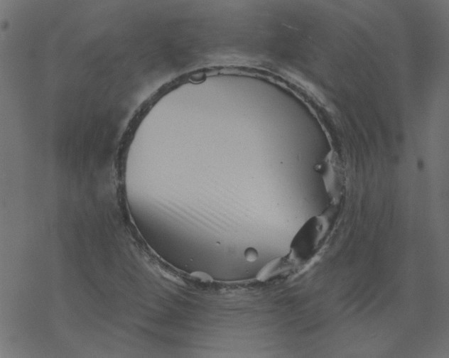 X0000077351264200611031812