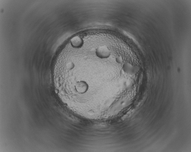 X0000077351267200611031812